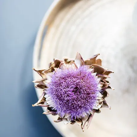 Haus Burgermeister Aelplihorn