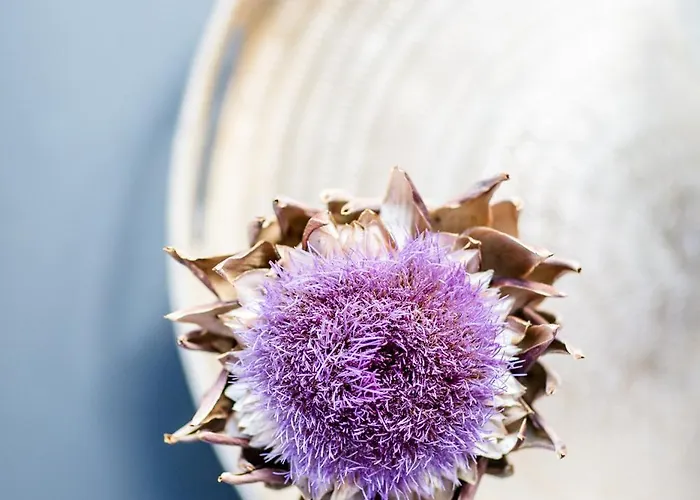 Haus Burgermeister Aelplihorn